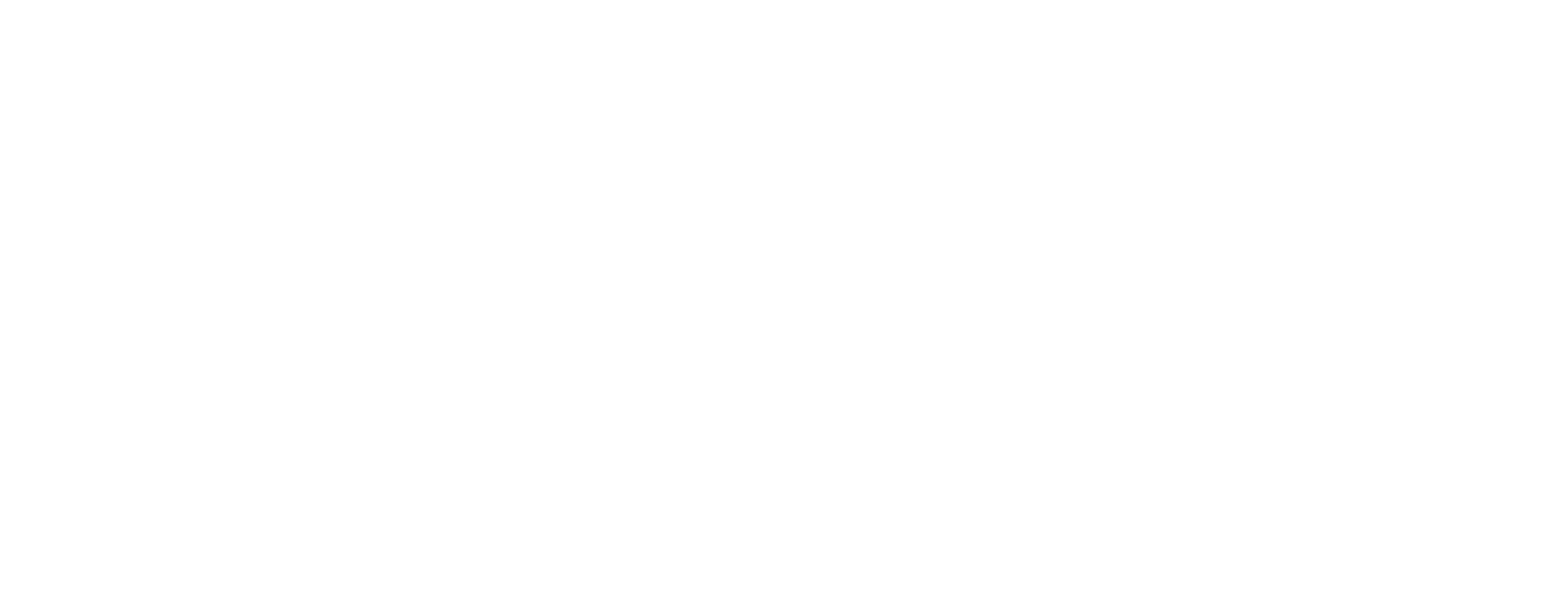 Sofia Galvão Group
